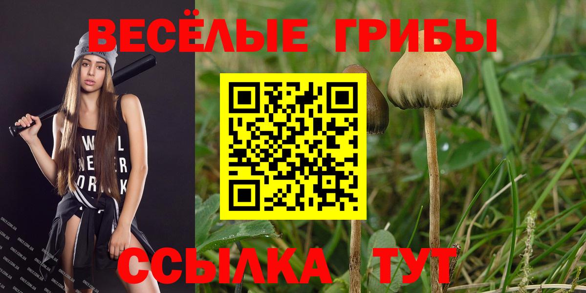 Галлюциногенные грибы ЛСД Ижевск