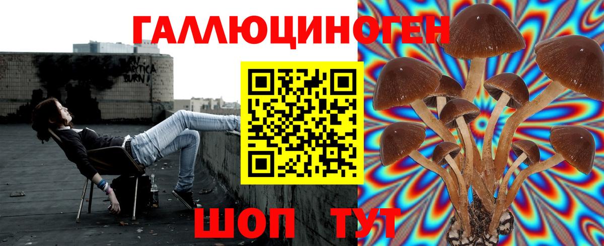 Ижевск  Псилоцибиновые грибы мицелий  Галлюциногенные грибы мухоморы  Вход с VPN 